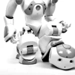 Featured image for 5 Robot Types in Robot Wrestling and Their Unique Features 2026